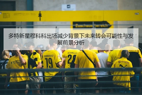 多特新星穆科科出场减少背景下未来转会可能性与发展前景分析