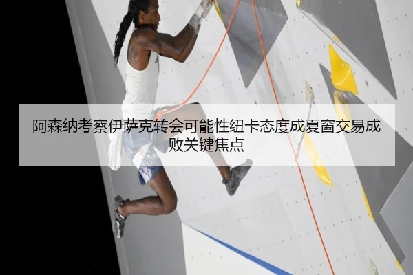 阿森纳考察伊萨克转会可能性纽卡态度成夏窗交易成败关键焦点