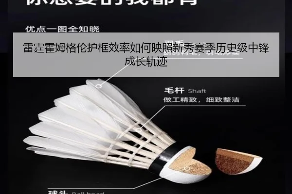 雷霆霍姆格伦护框效率如何映照新秀赛季历史级中锋成长轨迹